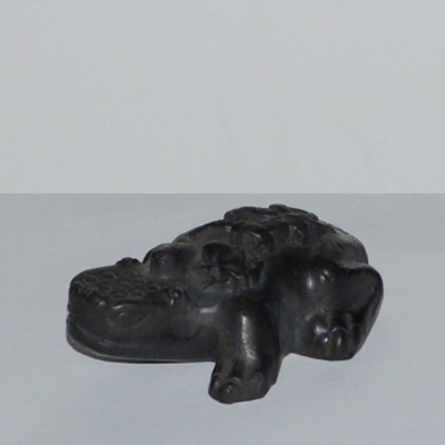 E17-4-14-anfibio-piedra-negro